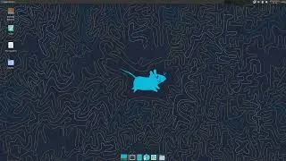 Linux | Void Linux | Install And Package Manager Use.