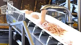 Ever Wondered How Spam Is Made?! Join us on this FanTECHstic Factory Tour!