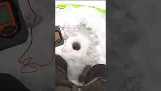 Ловля судака в палатке. 1 лунка на краю ямы раздает рыбу 