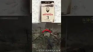Шафутинский день 3 сентября в Will To Live Online #willtoliveonline  #survival  #вил #stalker