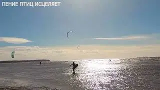 МОРСКИЕ ВОЛНЫ УСПОКАИВАЮЩЕ ДЕЙСТВУЮТ НА НЕРВНУЮ СИСТЕМУ,