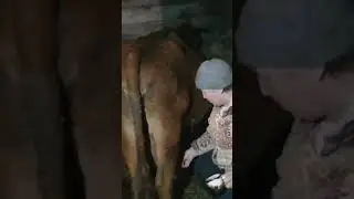 Шла, упала, очнулась гипс😱🤣❤️