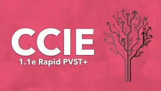 CCIE Topic: 1.1e Rapid PVST+