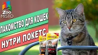 Лакомство для кошек Нутри Покетс | Обзор лакомства для котов | GimPet Nutri Pockets review