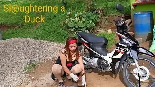 Mag ihaw me ug Bebe para ipadugo sa bag.ong nautang na motor😅
