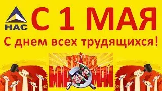 С первым мая!