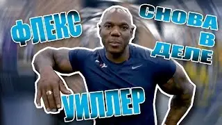 ФЛЕКС УИЛЛЕР: СНОВА В ДЕЛЕ - КАК тренировать ГРУДНЫЕ мышцы (Перевод и озвучка Памп ТВ)