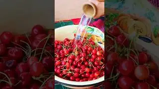 Harvesting Cherries and Preserve for Winter #villagelife #rurallife #countrylife