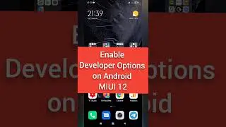 Enable Developer Options on MIUI 12 Android