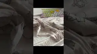 Реакция на последний день лета