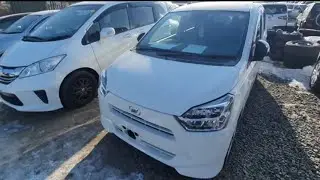 АВТОРЫНОК, ПРОДАВЦЫ ГОВОРЯТ,  ЦЕНЫ ВИДЕО СЕГОДНЯ 2023