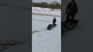 БЕШЕНАЯ МОТОСОБАКА 