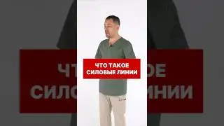 Что такое СИЛОВЫЕ ЛИНИИ 