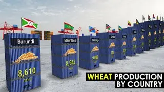 Wheat Production by Country