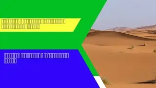 География внутреннего и международного туризма