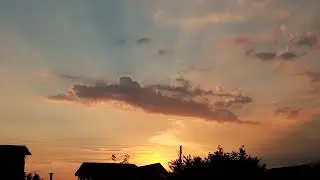 Ольвийский дельфин в небе