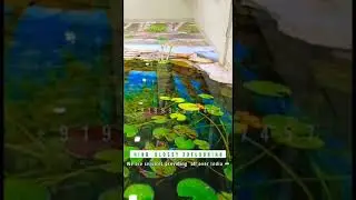 New Modern 3D Mural Flooring Design For Bedroom / 3D Mural Flooring Scenery Tiles Design n Sticker,,