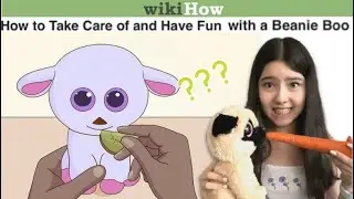 How To Take Care of a Beanie Boo (according to Wikihow)