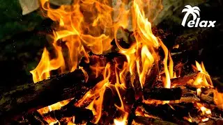 Bonfire Sound, Firewood Crackle and Forest Nature Sounds