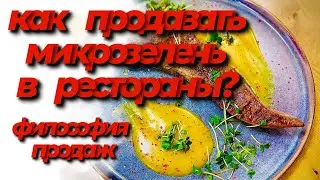 Как продавать микрозелень в рестораны? Продажи микрозелени! Философия продаж! Бизнес на микрозелени!