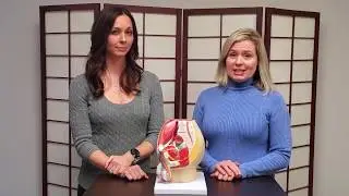 Pelvic physical therapy after prostate cancer treatment (part I: urinary dysfunction) | Connect PT