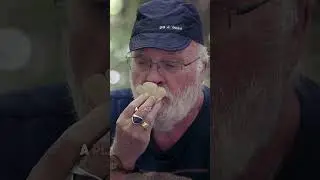 THIS is Why Doctors Don't Recommend Mushrooms to People 