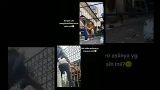 yang viral di tiktok / asli bikin ngakak 