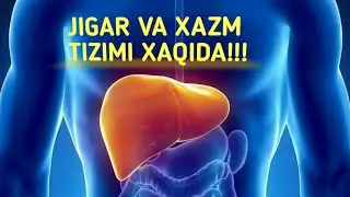 #Ливер #Гастер ХАЗМ ҚИЛИШ ТИЗИМИ ЖИГАР ВА ЎТ ЙЎЛИ.