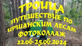 Троица. Фотоколлаж. Путешествие по Иршанским лесам. Белая гора (22.06-25.06.2024)