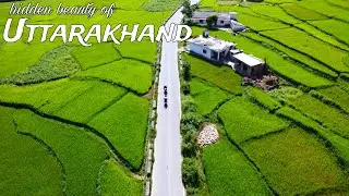 This Place is Hidden Treasure of Uttarakhand 😍 | One Wrong Turn and We Reached Heaven |Thal-Nainital