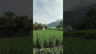 begini enaknya tinggal di kampung