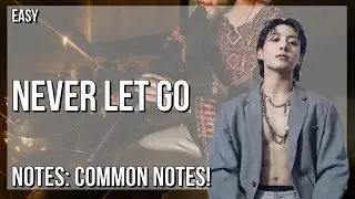 How to play Never Let Go by Jung Kook on Tin Whistle (Tutorial)