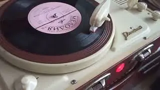 Увезу тебя  я в тундру...