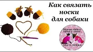 33. Как связать носки для собаки