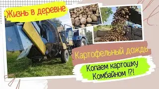 КОПАЕМ КАРТОШКУ КОМБАЙНОМ! ХОРОШИЙ УРОЖАЙ/ЖИЗНЬ В ДЕРЕВНЕ/