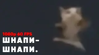 Шни шна шнапи шнапи | ОРИГИНАЛ [1080p 60 FPS]