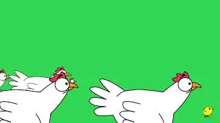 Running chicks and Chicken |Greenscreen effects