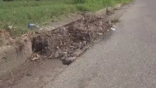 Hurricane Francine: Memphis crews clear storm drains as remnants set course for the Mid-South