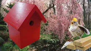 Build a DIY Birdhouse With Basic Hand Tools and Free Plans!