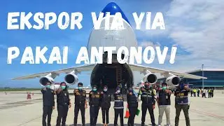 EKSPOR PERDANA Charter Flight Direct di YIA - Antonov Mendarat di YIA - Bea Cukai Jogja Istimewa