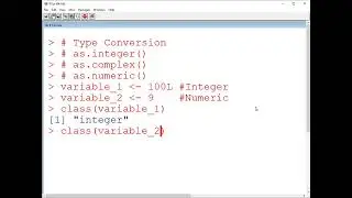 r language type conversion numeric integer complex