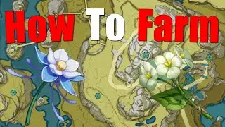 The Best Locations To Farm Qingxin And Glaze Lily In Genshin Impact