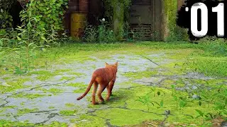STRAY - Part 1 - A New Cat Adventure