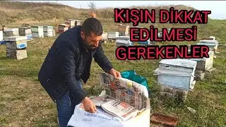 Arılarda Kış bakımı nasıl yapılır ve neye dikkat etmeliyiz detaylı anlatım ne fayda