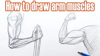 How to Draw Arm Muscles | Draw Muscles Anatomy