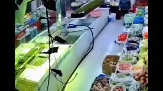 what da fish doin