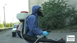 Как живется в ОСМД: плановая дезинсекция и дератизация
