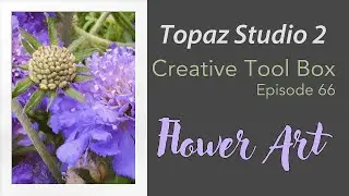 TOPAZ STUDIO 2 (CREATIVE TOOL BOX, Episode 66) Flower Art