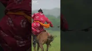 Horse riding and creative style