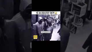 дагестанец поймал Макс дивнич поднял на воздух ударил